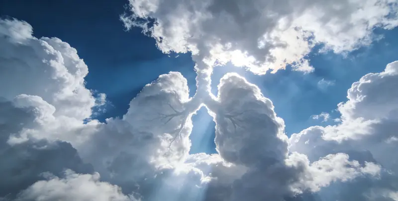 和田肺癌12基因ctDNA突变检测(血液）图片1