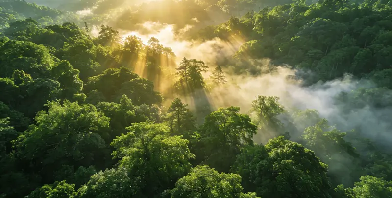 和田肺癌甲基化检测图片1