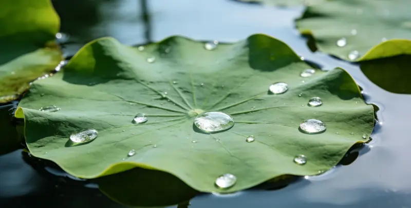 和田乳腺癌21基因mRNA表达分析图片1