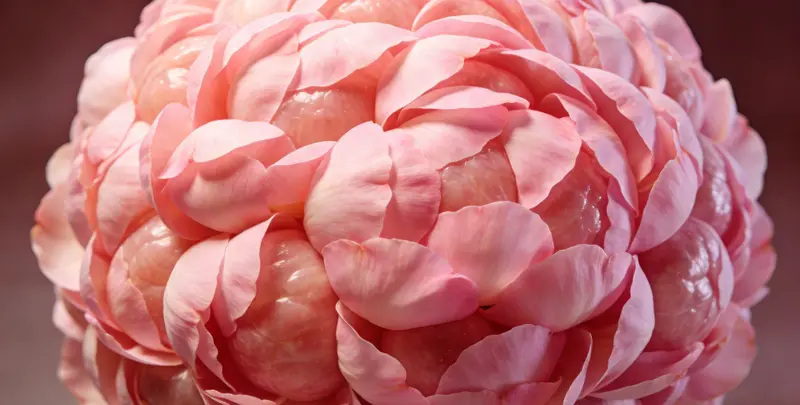 和田BRCA1/2乳腺癌卵巢癌基因检测图片1