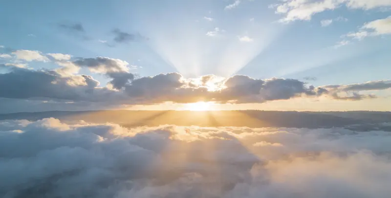 和田产前绒毛亲子鉴定图片1