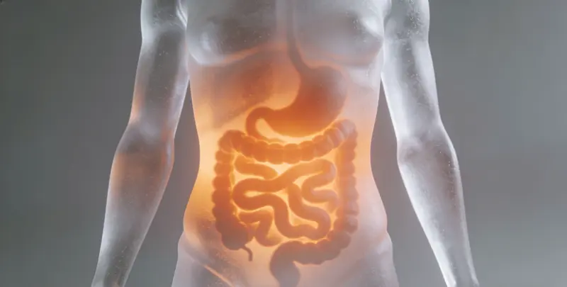 和田胃癌靶向用药39基因检测（组织）图片1